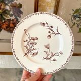 Lunéville earthenware dessert plate, Marguerite model.