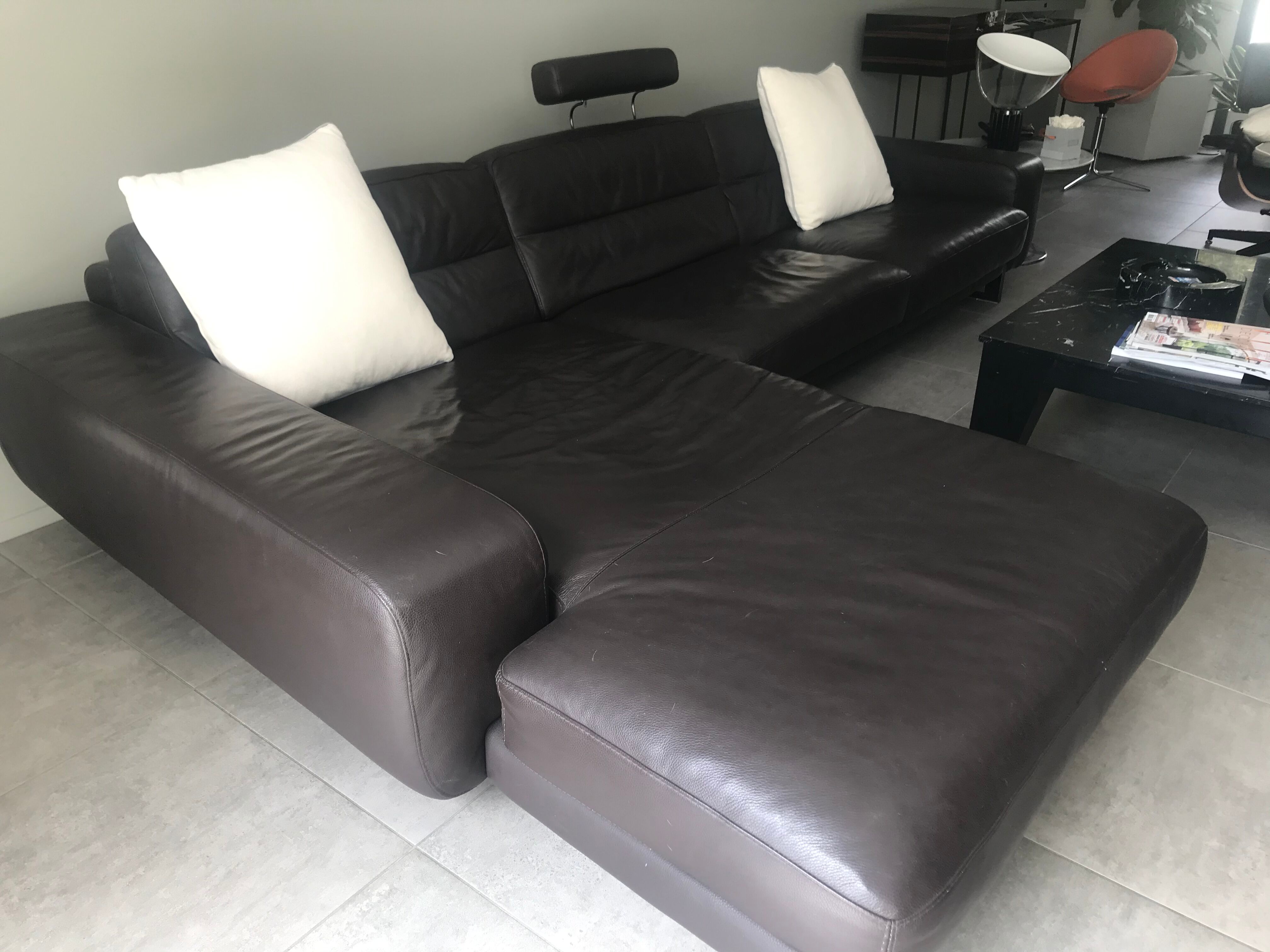 Roche & Bobois sofa