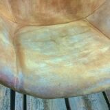 Pair of armchair flesh circle for Lusch Erzeugnis, 1960