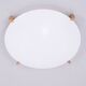 Large Plafo Ceiling Lamp by Östen Kristiansson for Luxus
