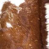 Cow skin mat 210 x 175 cm