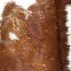 Cow skin mat 210 x 175 cm