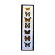 Frame with 7 butterflies