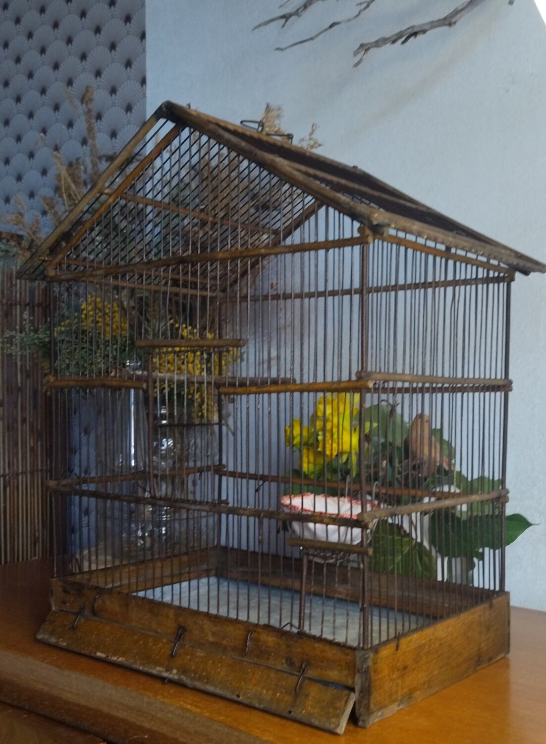 Cage ancienne