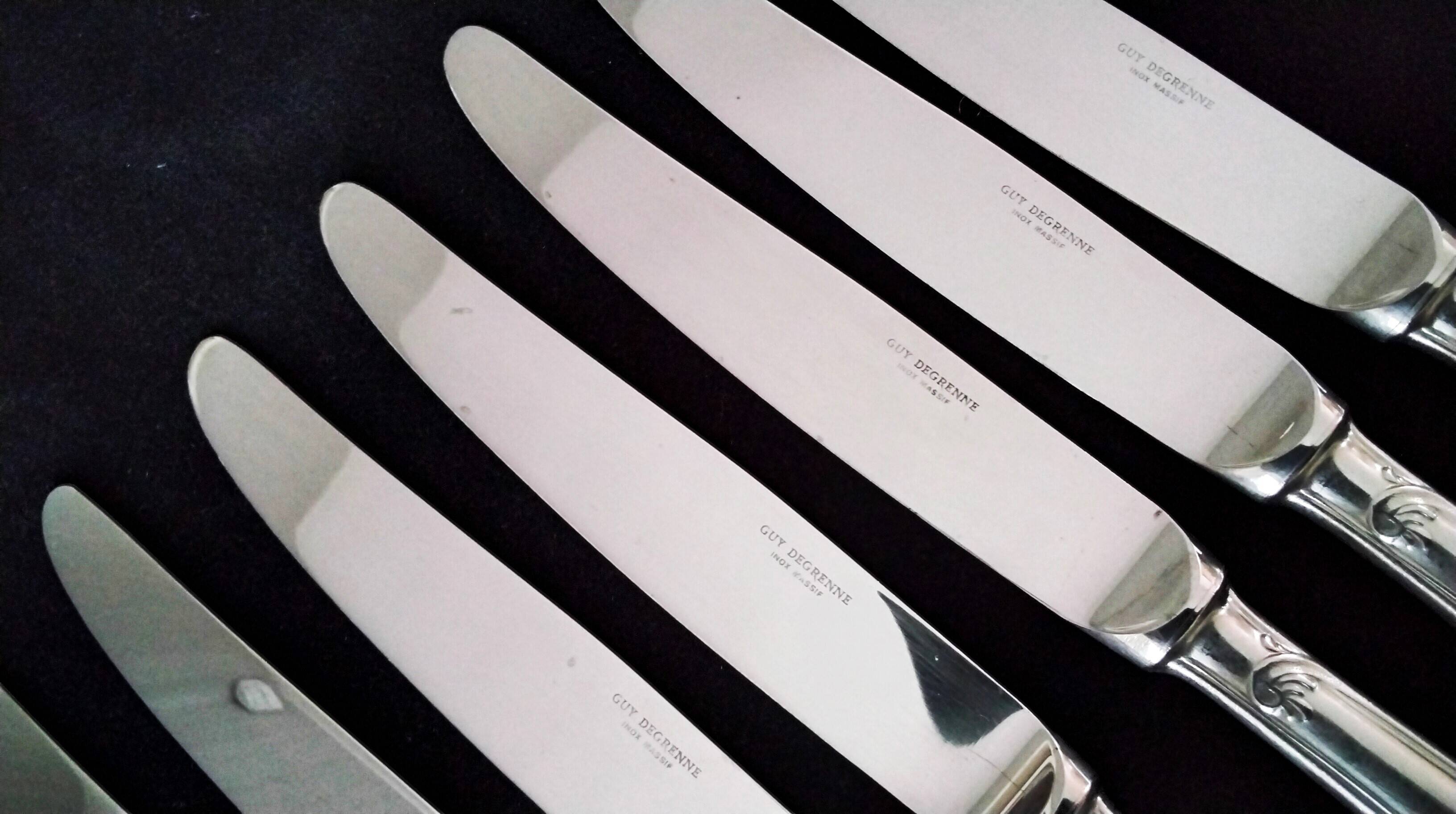 12 Guy Degrenne Rocaille Table Knives Louis XV Style