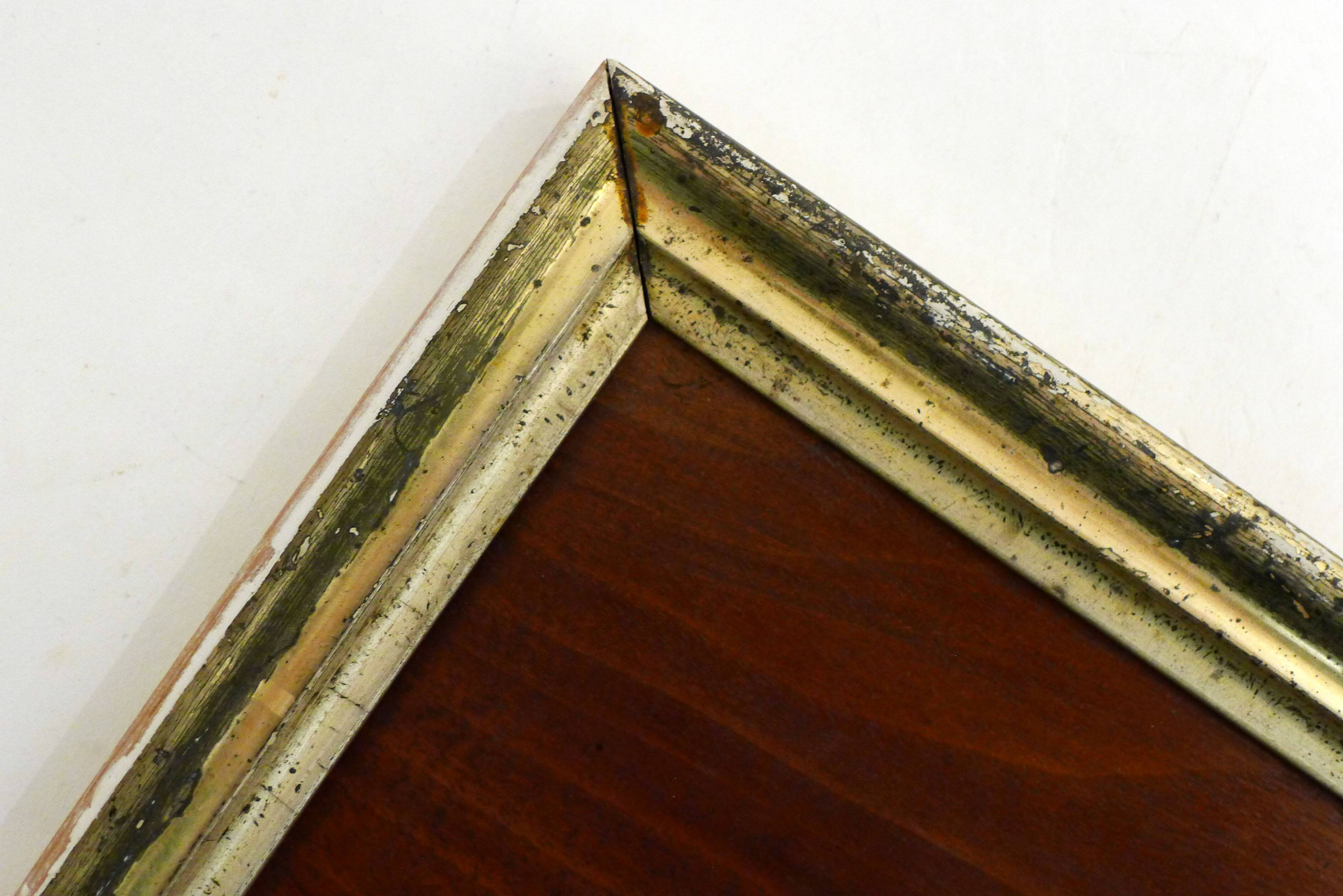 Painting Still Life Birds 1884