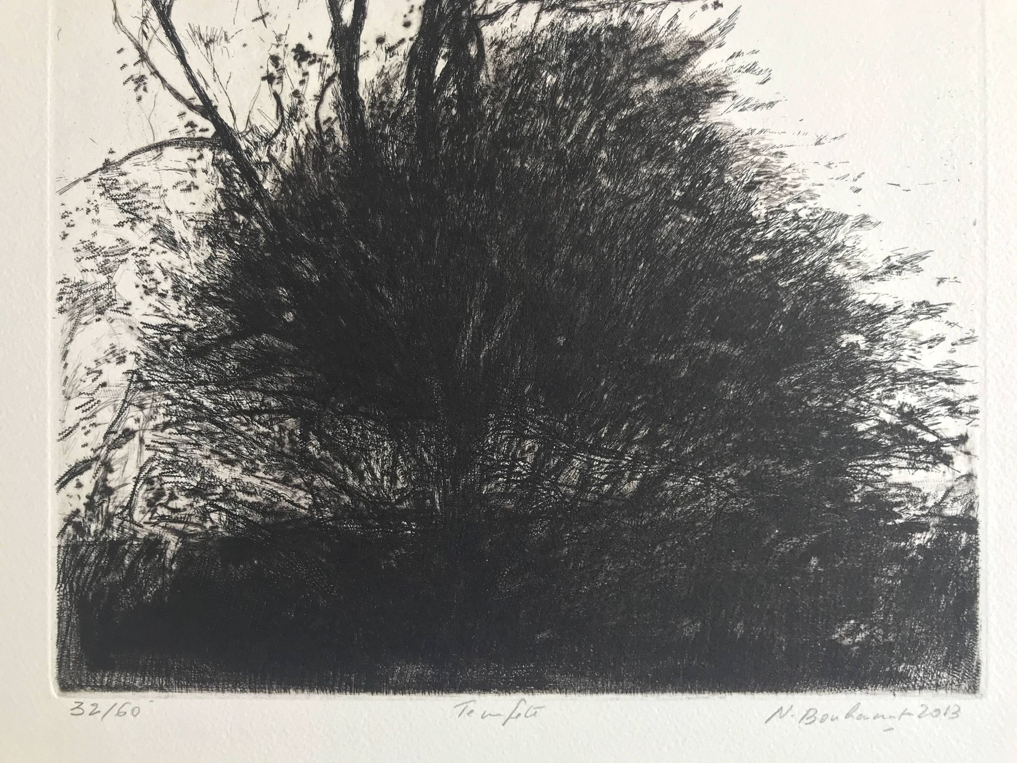 Nicole Bouharmont, tempête, 2013, pointe sèche originale signée