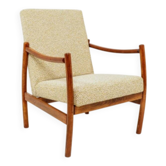 Mid-century modern design armchair green nebula bentwood 1960