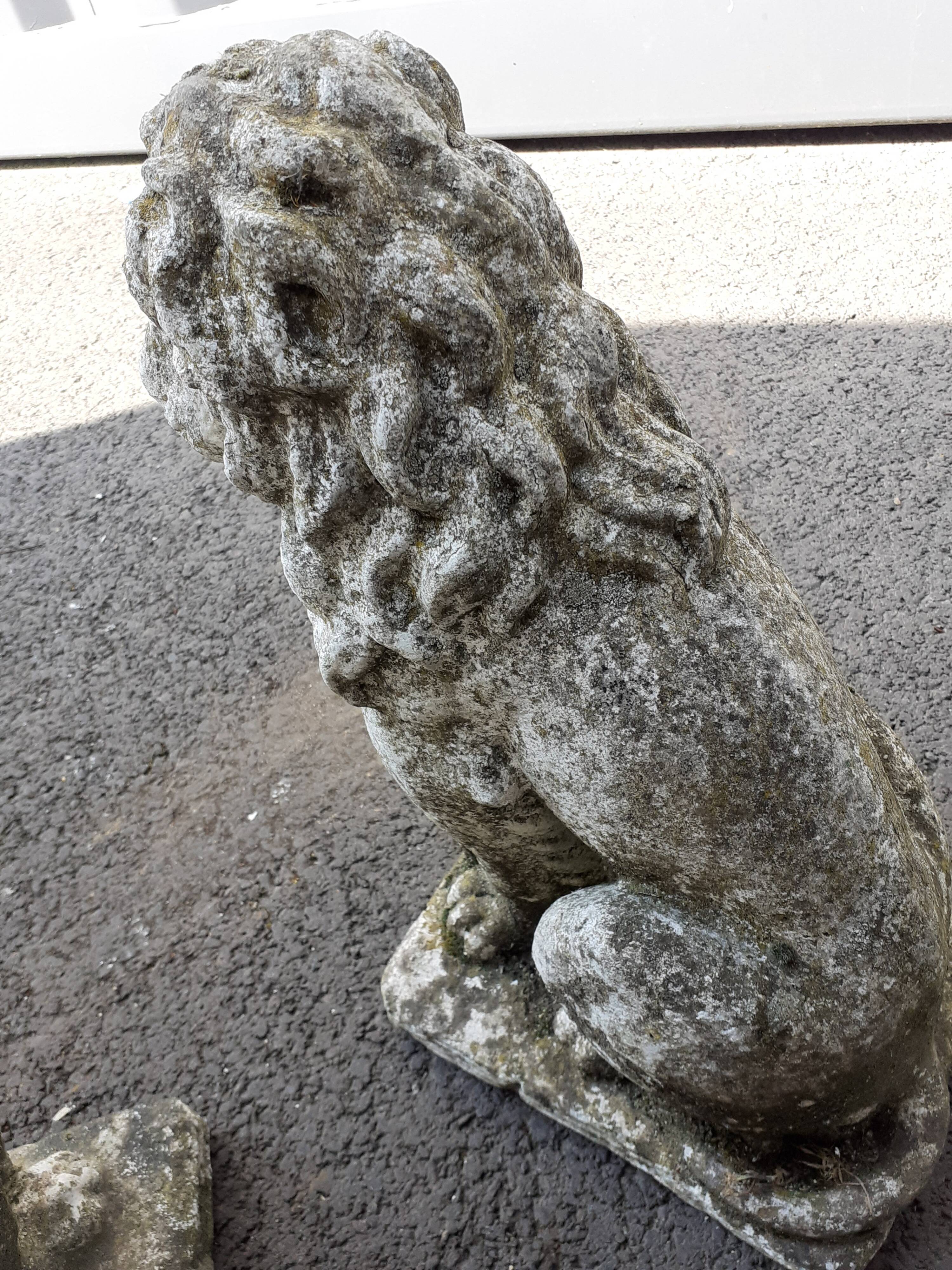 Vintage stone garden lions xxeme