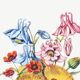 Poster about columbines, marigolds and adonis, based on a lithograph