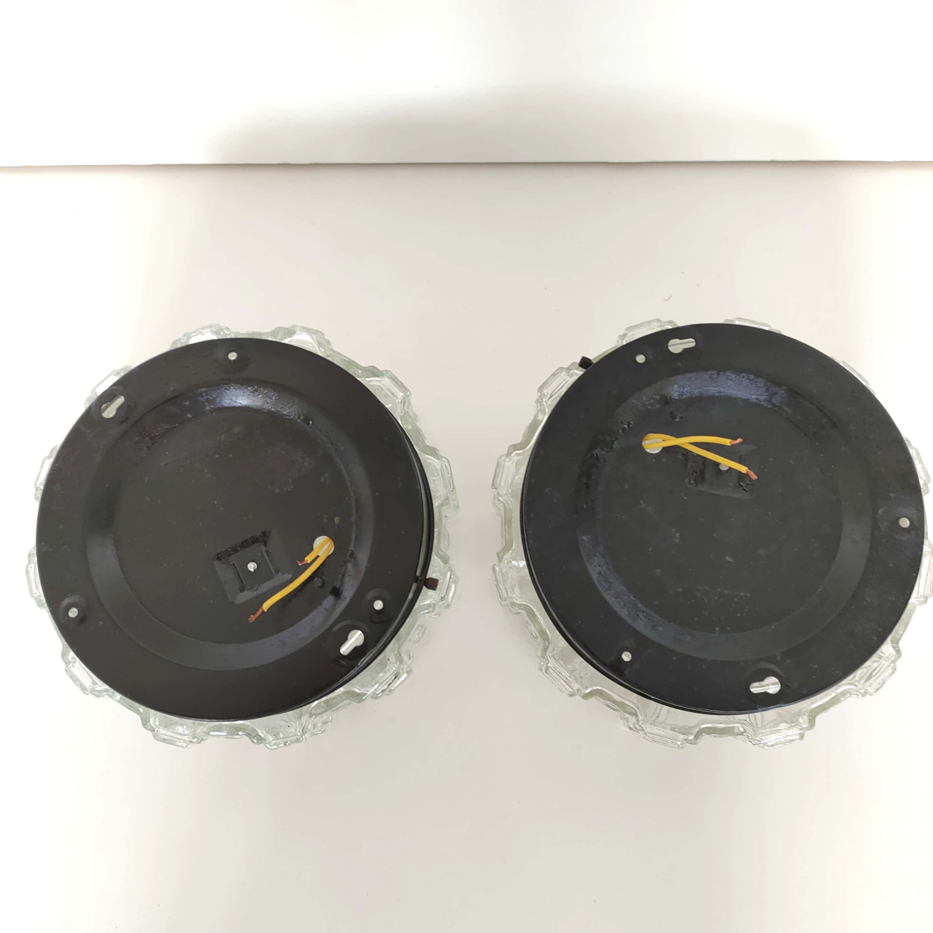 Pair of molded glass ceiling lamp