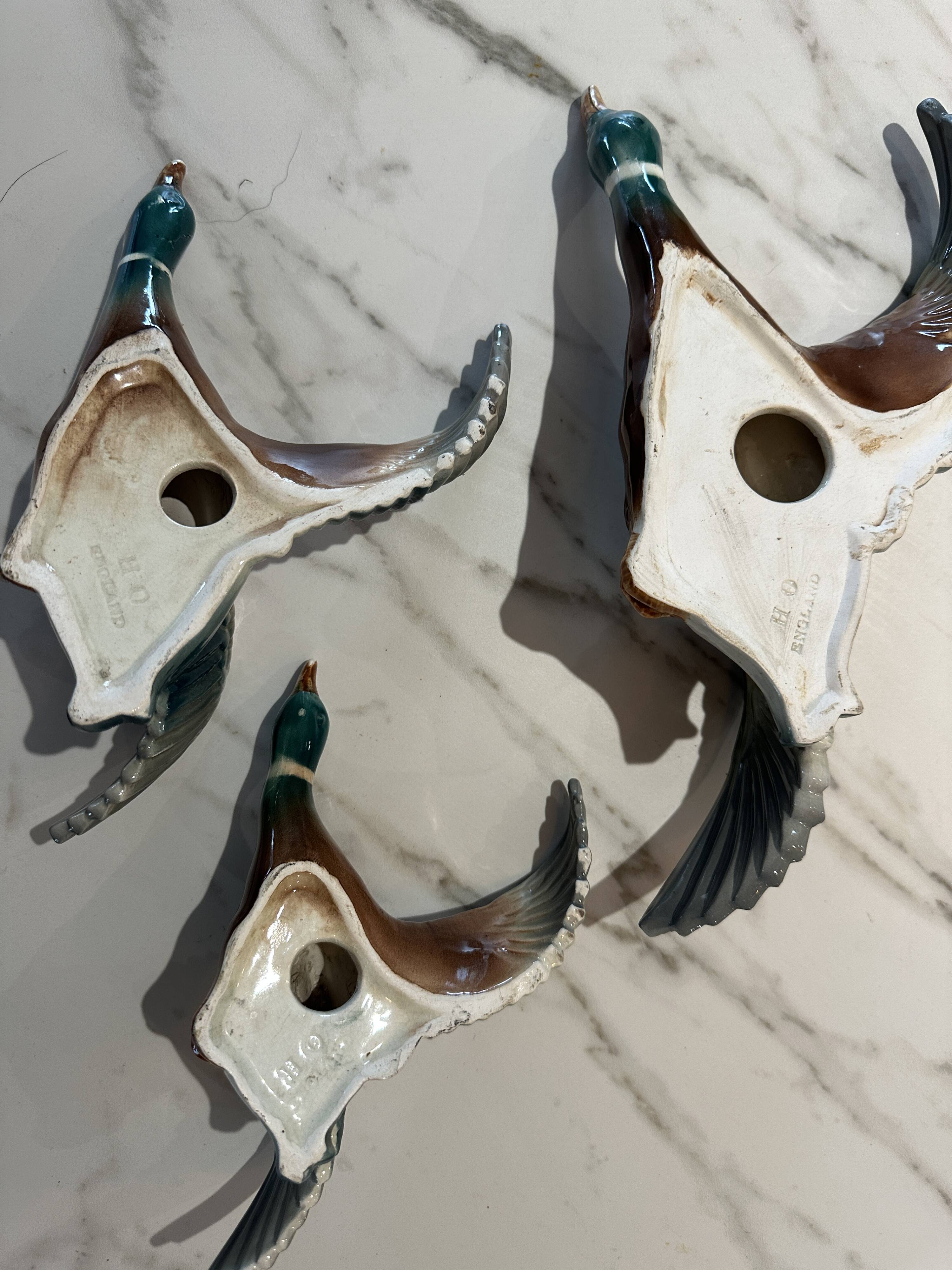 Mid century graduating flying ducks