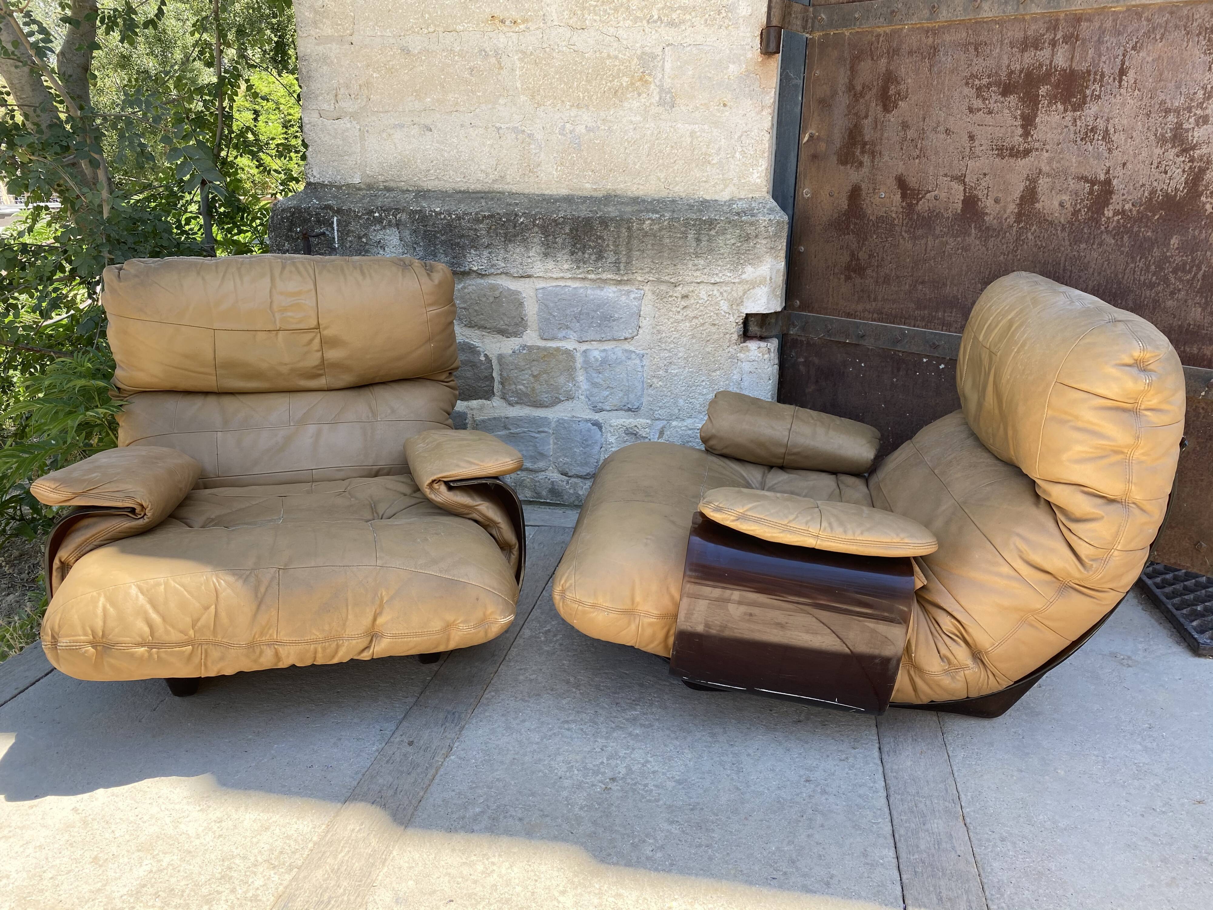 Pair of armchairs Marsala by Michel Ducaroy for Ligne Roset