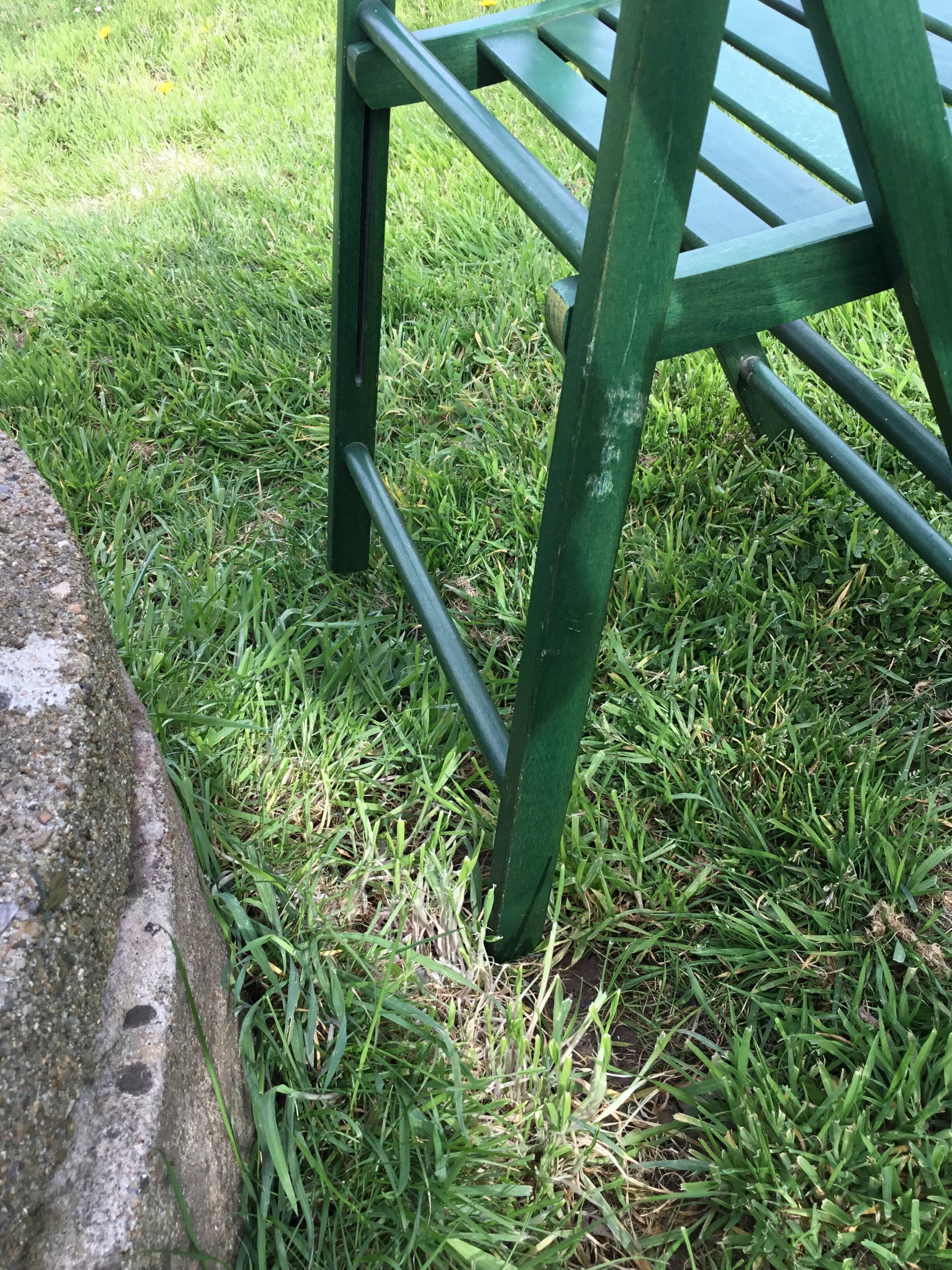 Lot of folding chairs Pier import