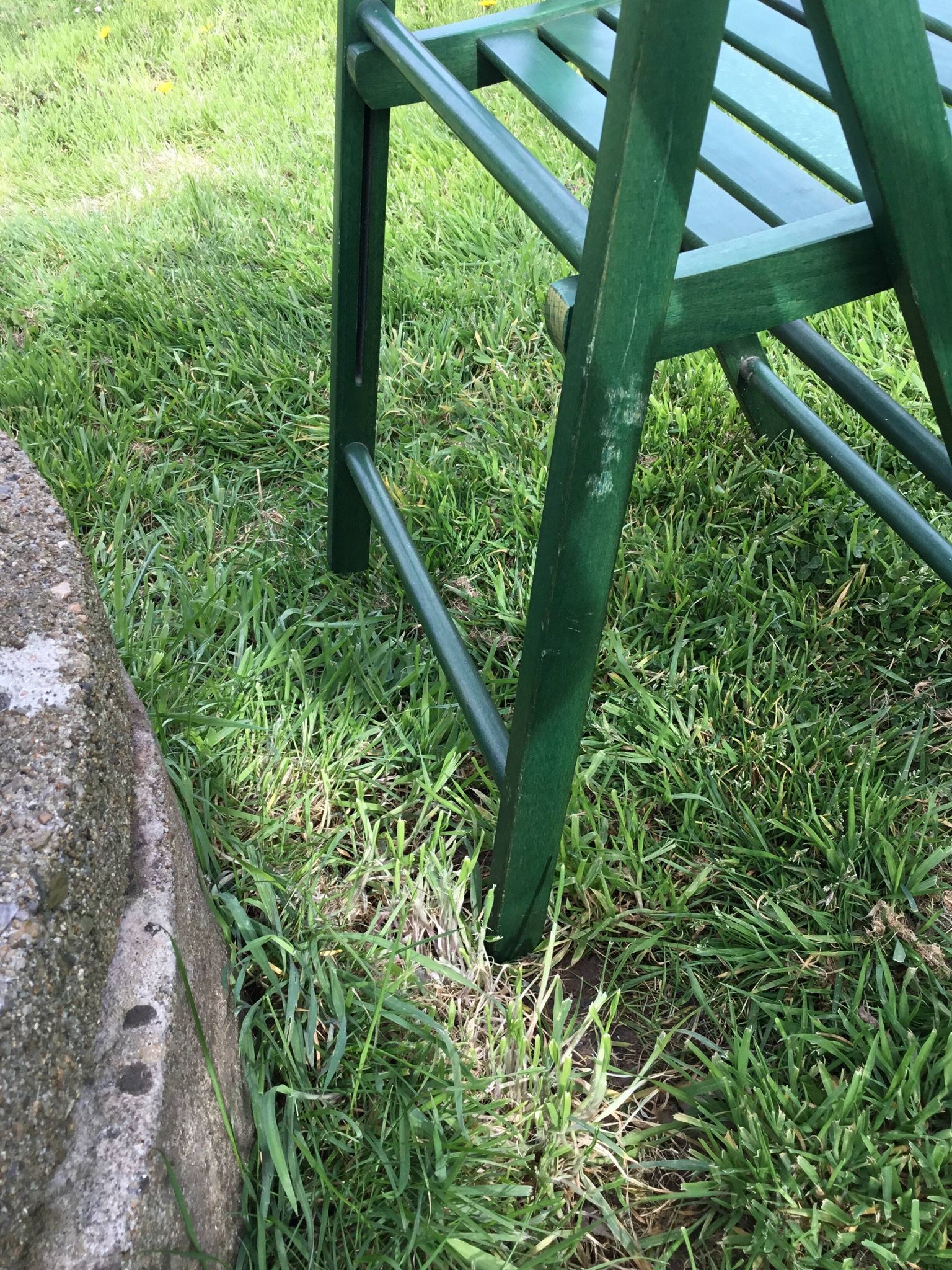 Lot of folding chairs Pier import