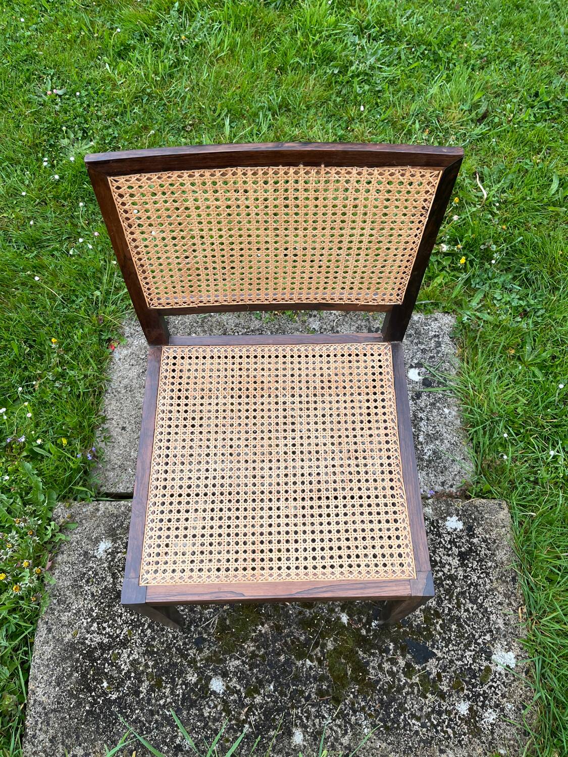 Tenreiro. Jacaranda and rosewood cane chair