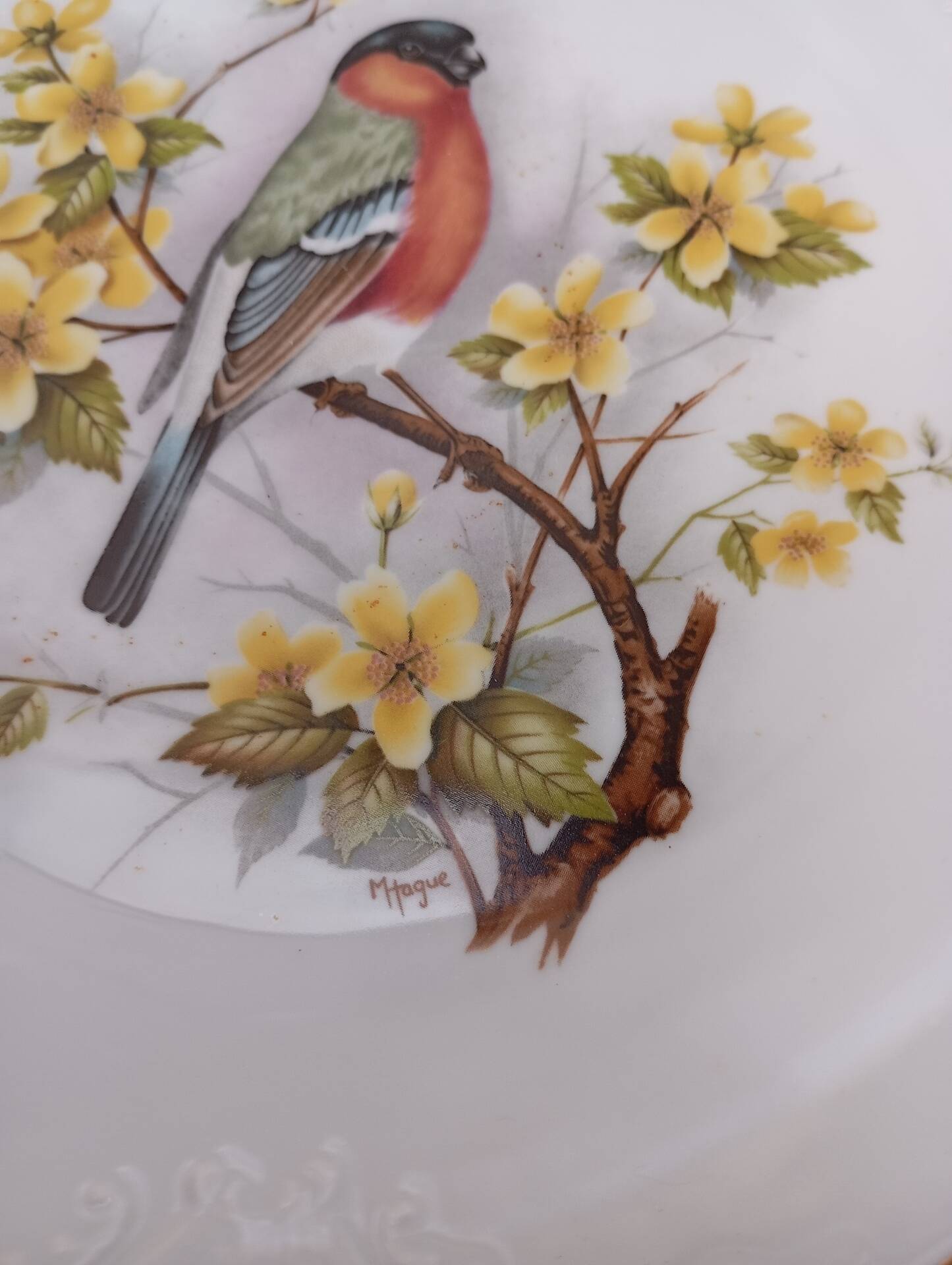 Two Limoges porcelain plates signed M. Hague.