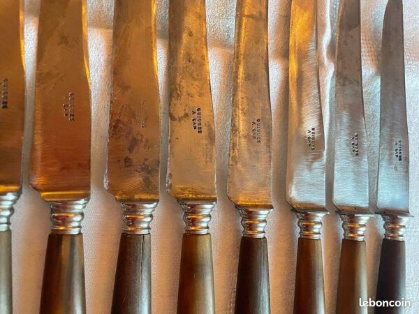 Coffret 12 couteaux de table fin 19 ème en corne