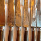 Box of 12 fine table knives from the late 19th century in horn.