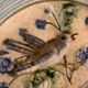 8 dessert plates in late 19th century dabbling