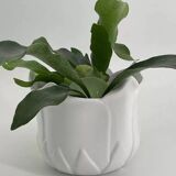 Cache-pot vintage en forme de tulipe en porcelaine blanche