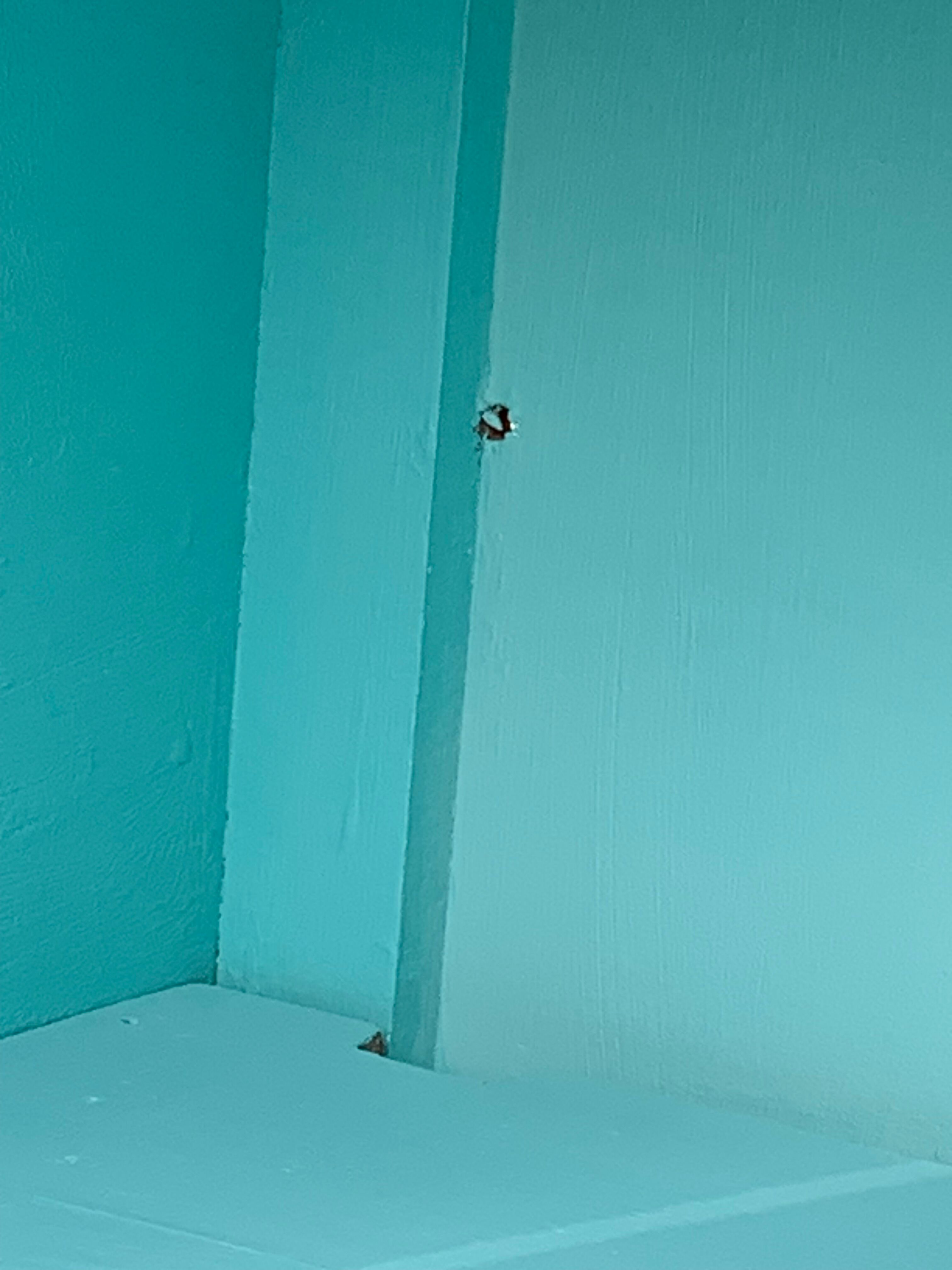 Parisian wardrobe art deco panel 1940