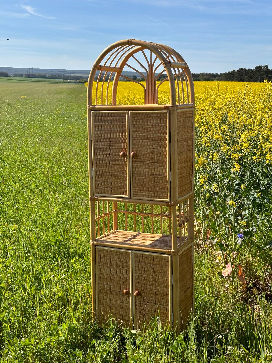 Storage unit, rattan bookcase, 1970