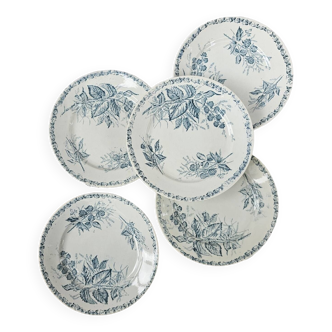 Assiettes à entremets Mûre Badonviller