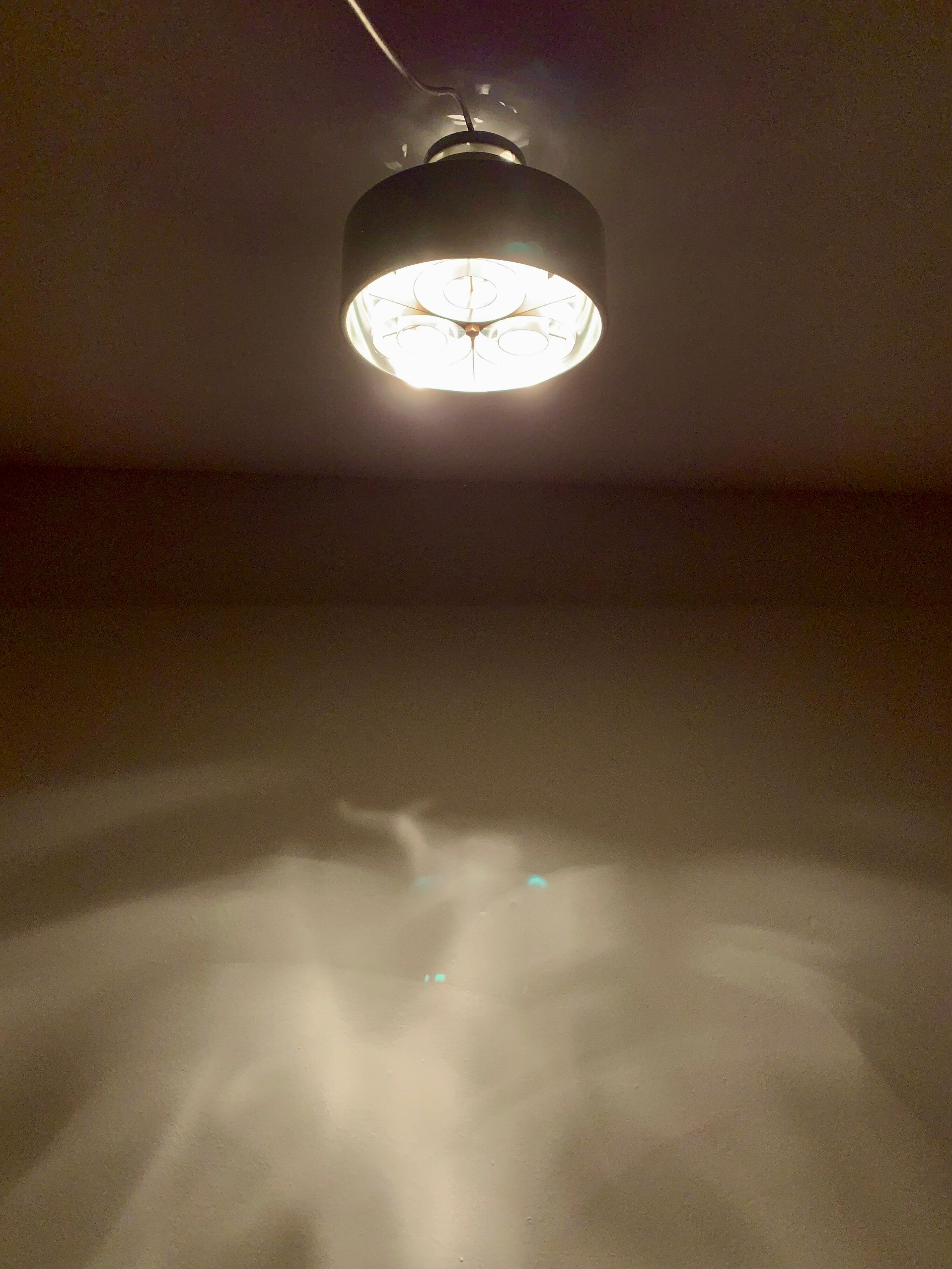 Danish Flush Lamp