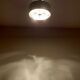 Danish Flush Lamp