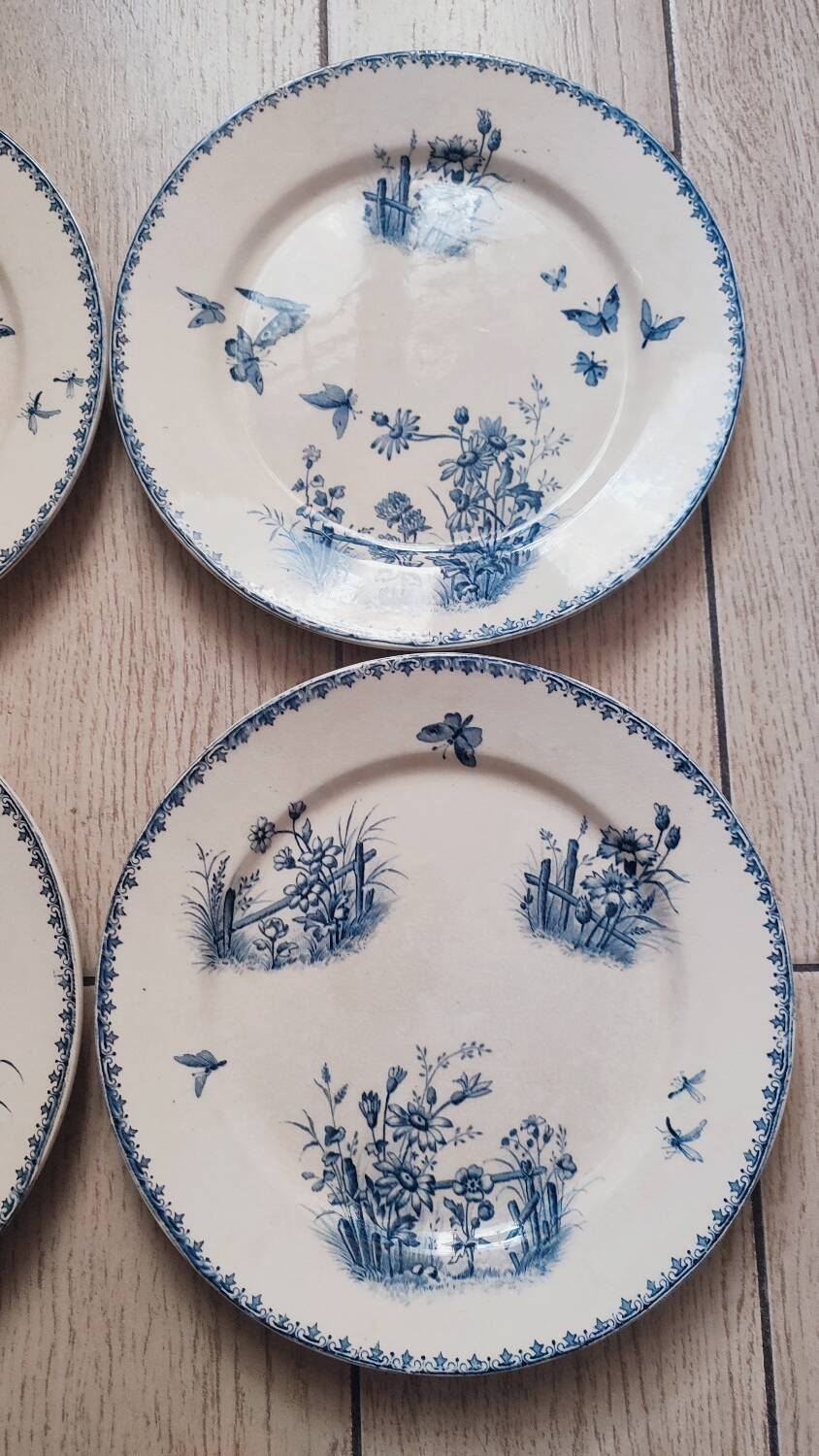 4 flat plates in Sarreguemines earthenware, Tsarine