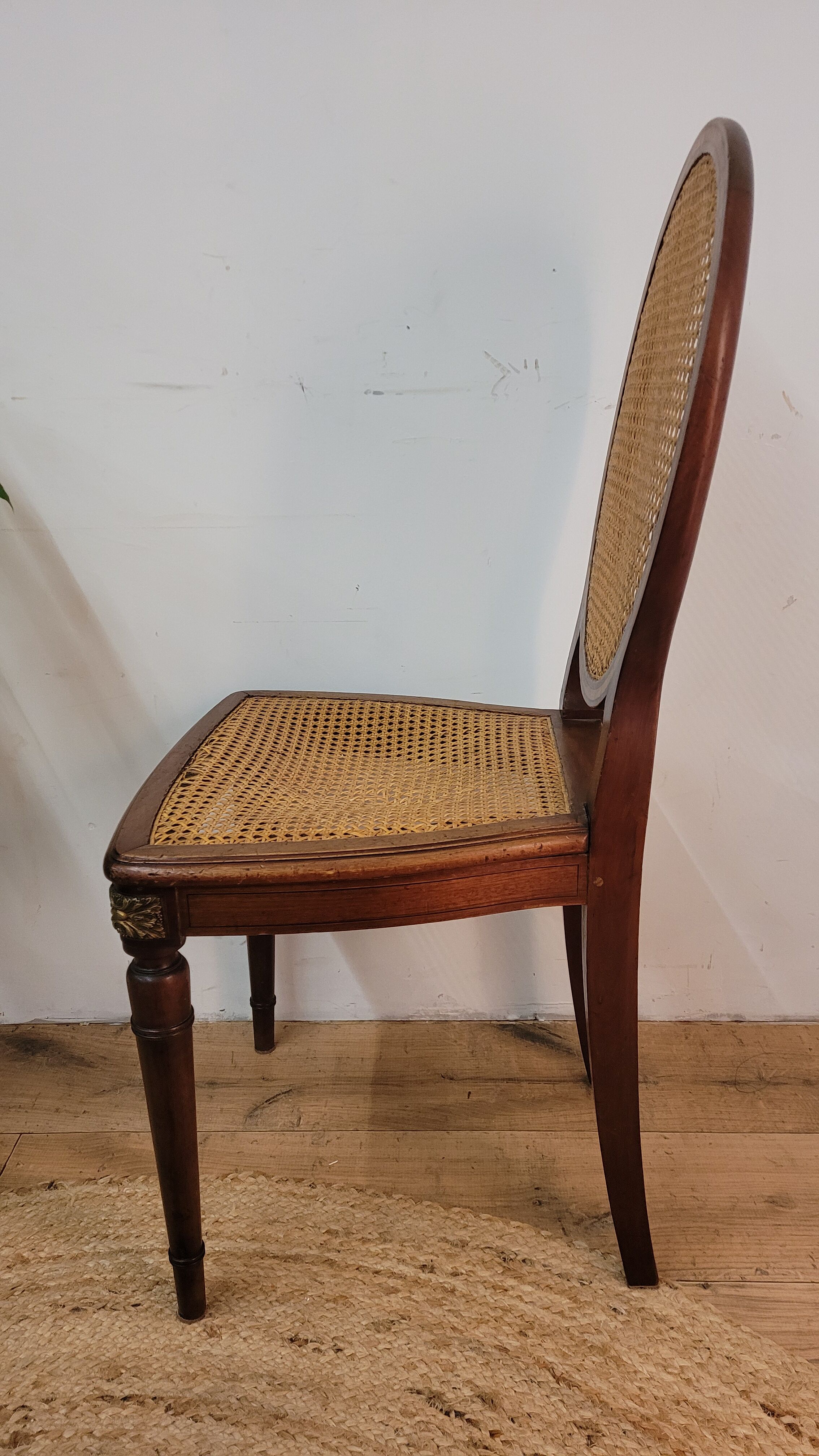 5 Louis XVI style medallion chairs