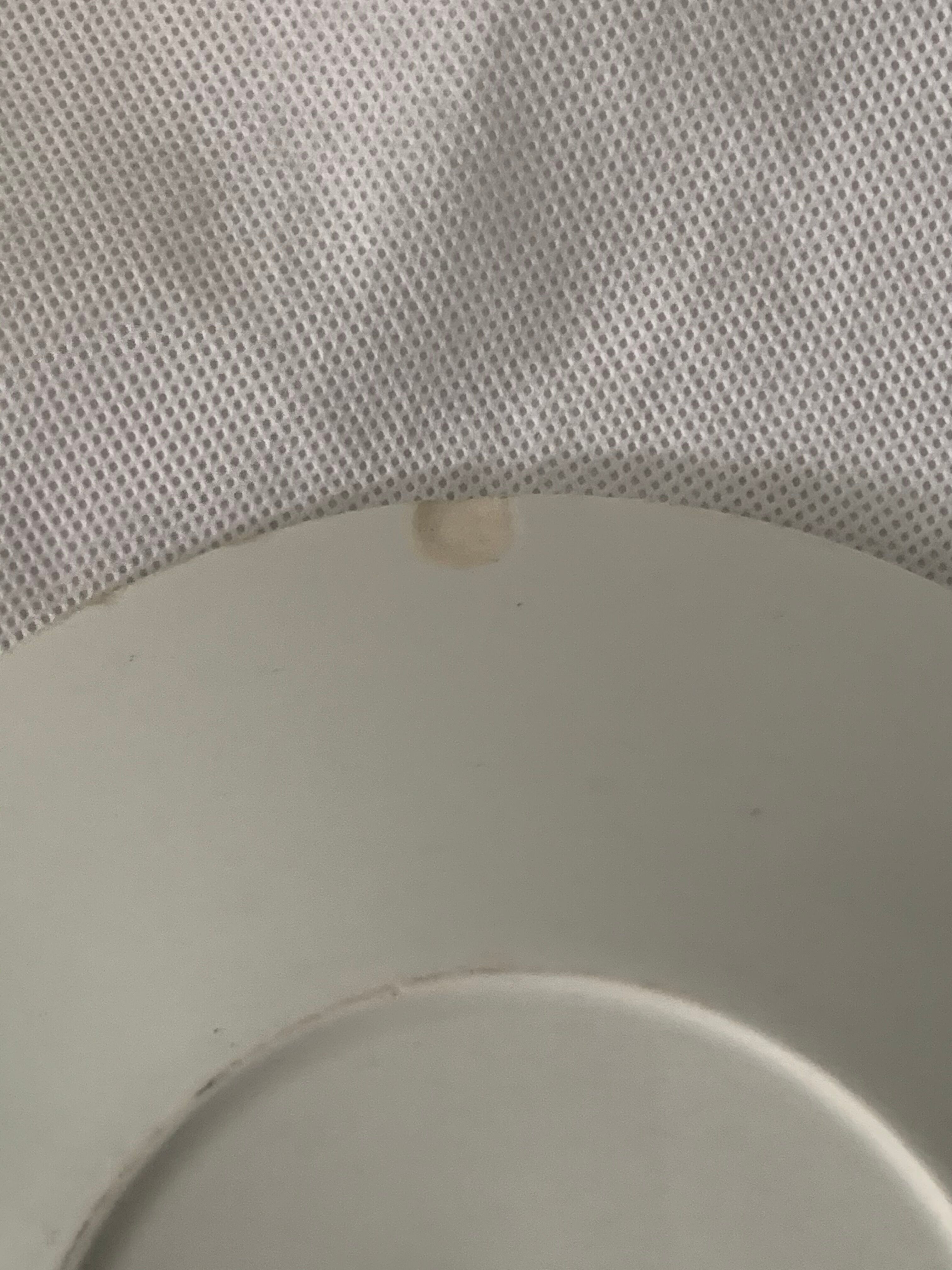 Pair of porcelain cups and cups Béarn HBCM Montereau