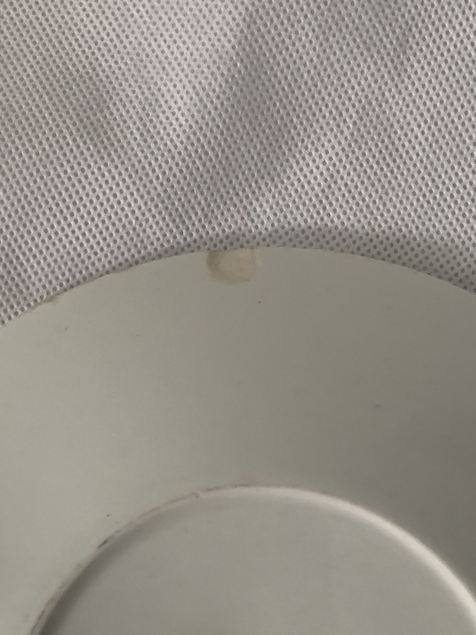 Pair of porcelain cups and cups Béarn HBCM Montereau