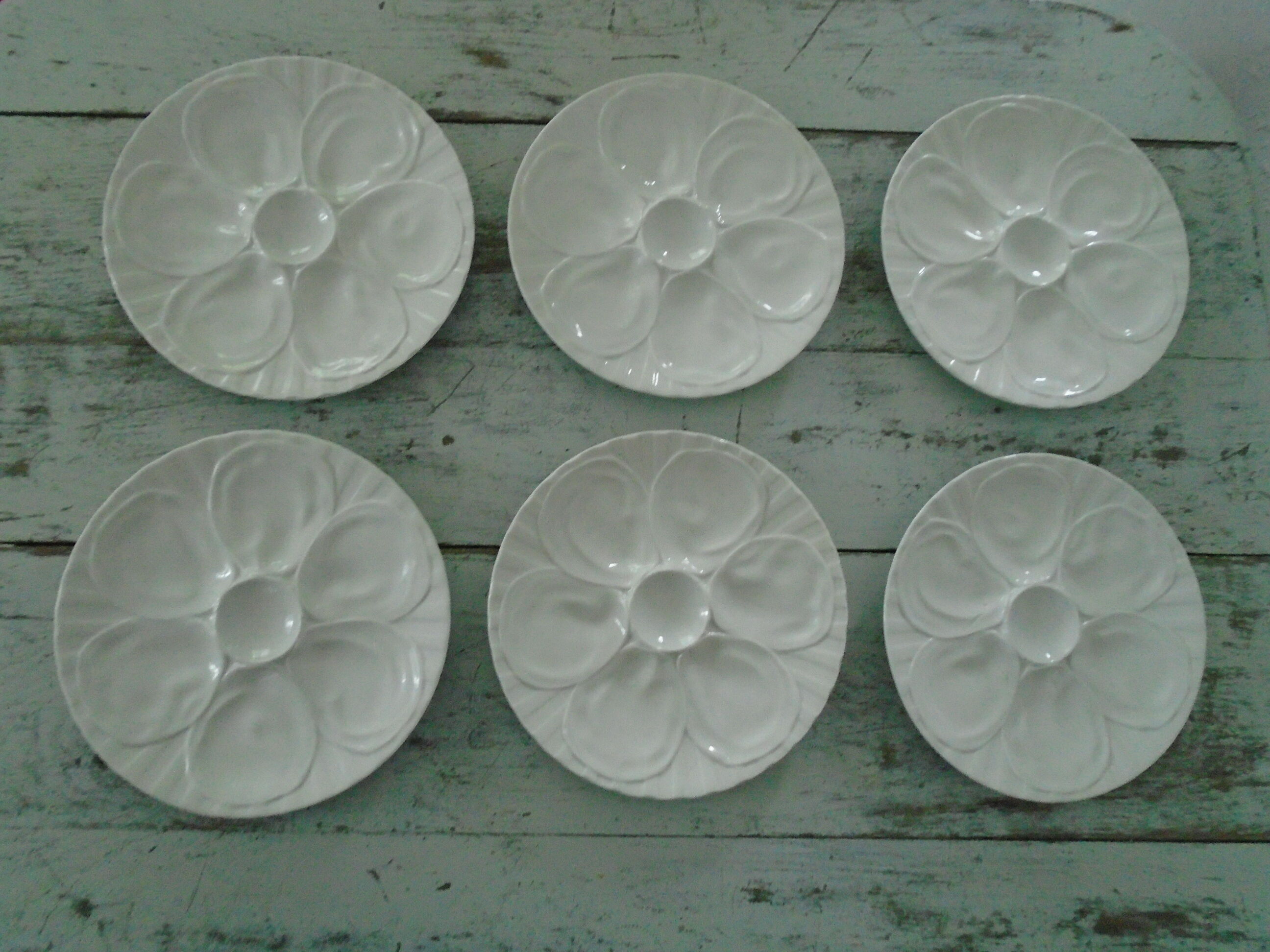 6 plates with white presentation oysters Pillivuyt France