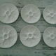 6 plates with white presentation oysters Pillivuyt France