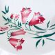 5 assiettes creuses de St Amand modèle Peg