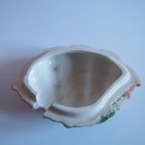 Saucière seashell in dabbling