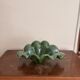 Corolla Cup Empty Pocket Bowl Murano Style Green Crystal