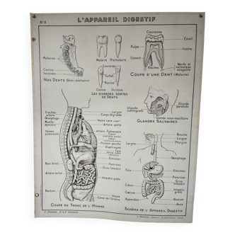 Pedagogical poster a.hatier 8 and 8 bis