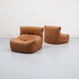 Aralia Chair by Michel Ducaroy for Ligne Roset 1970s