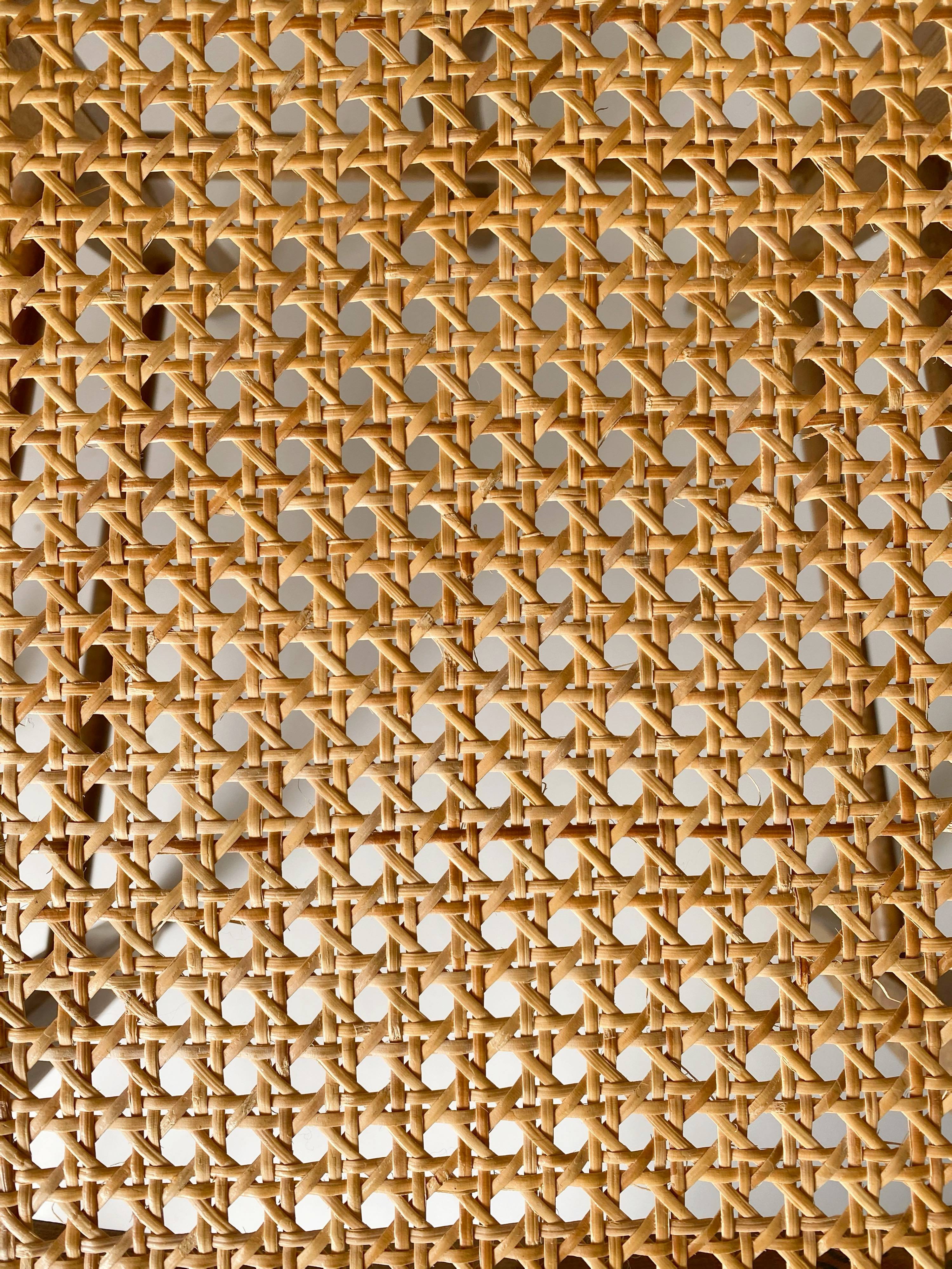 Suite chairs campaign caning