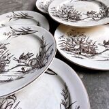 Set of 6 Tunstall flat plates in English Ironstone Amazon pattern circa 1880