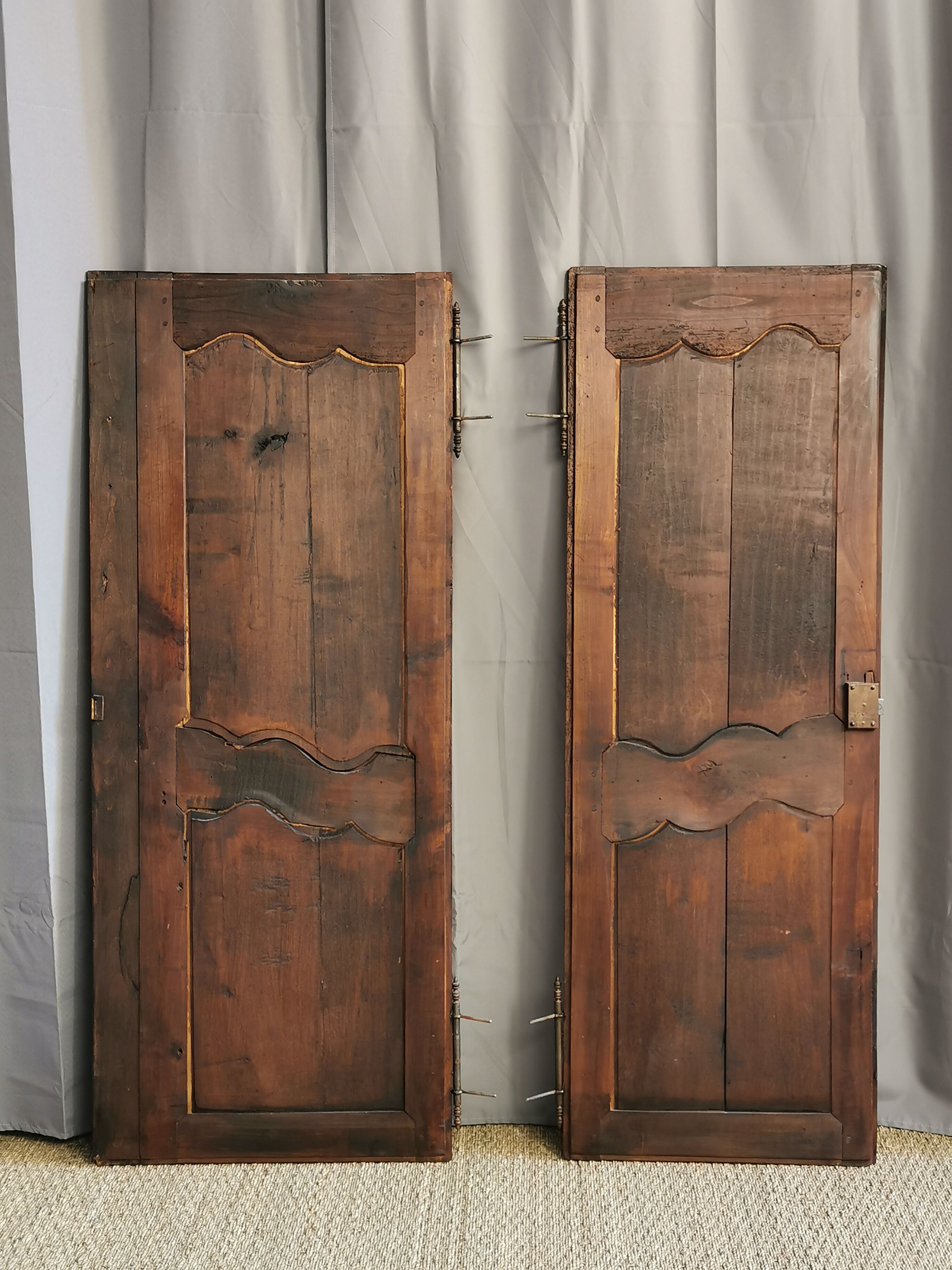 Paire de portes d'armoire ancienne XlXème