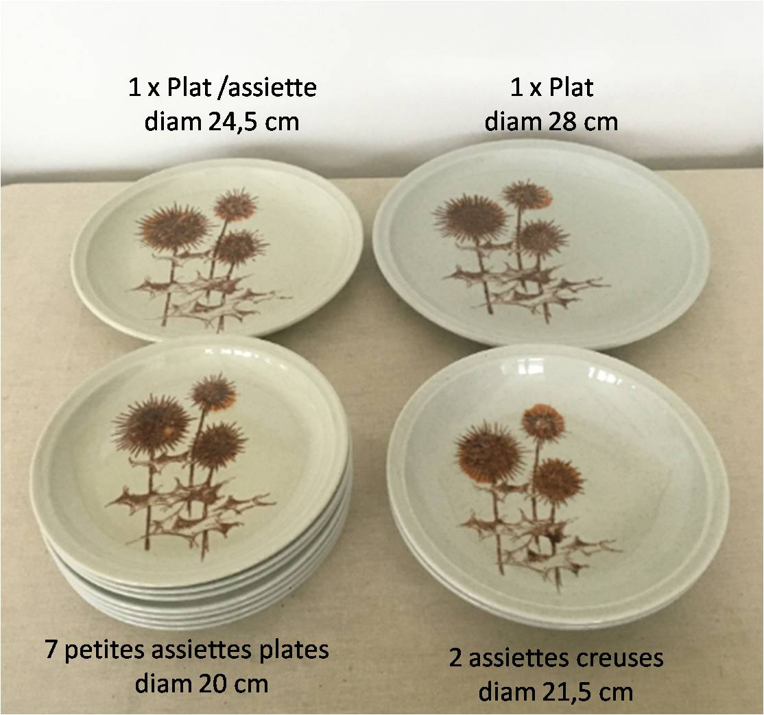 Set de 11 assiettes et plat en grès Chardon Sarreguemines