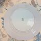 6 Seltmann Weiden Bavaria dinner plates Theresia model