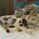 2 crystal salters and their crystal spoons "Daum France"