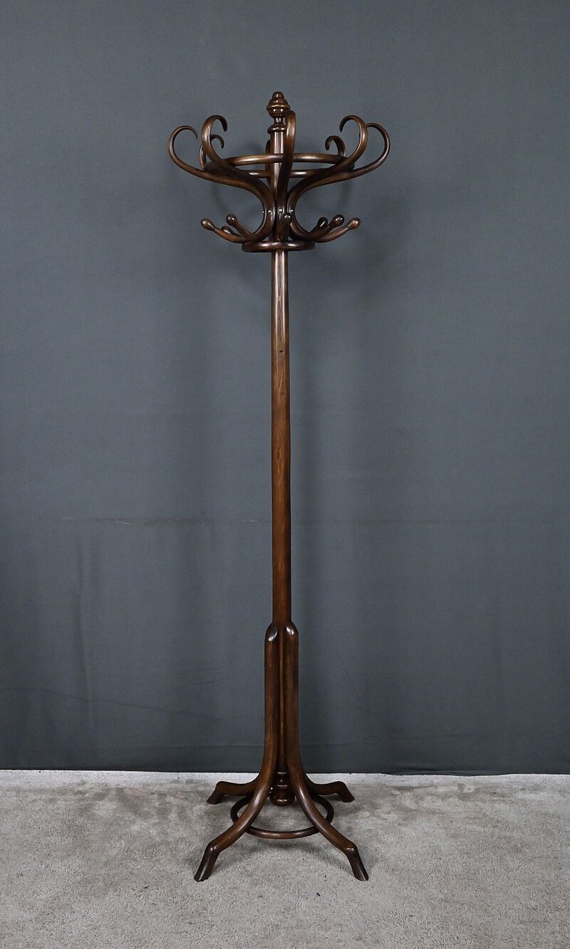 Beech coat rack parrot – early 20th century