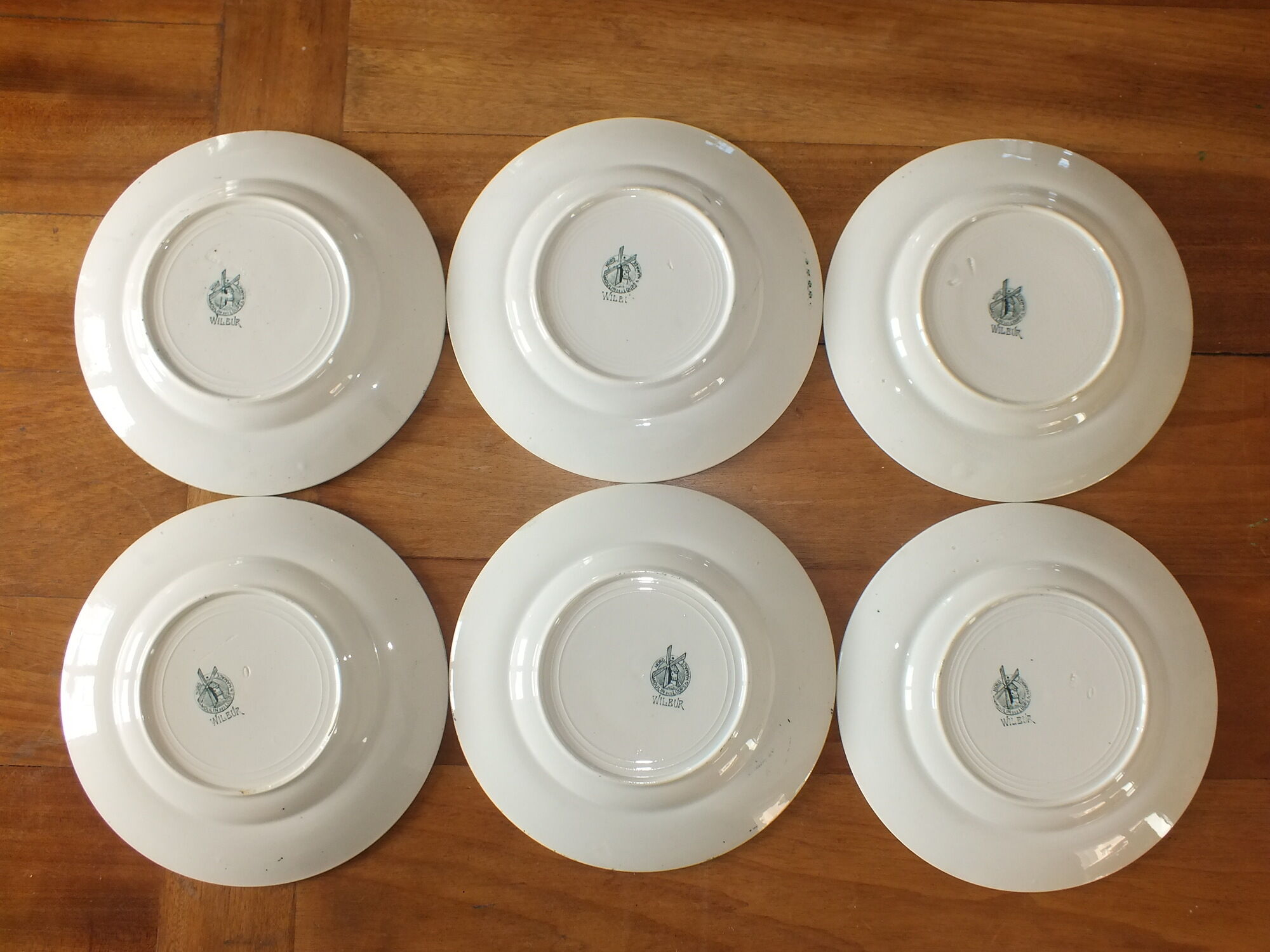 6 Flat plates in Iron Earth Moulin des Loups model Wilbur Lot 3