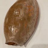 Shell volute